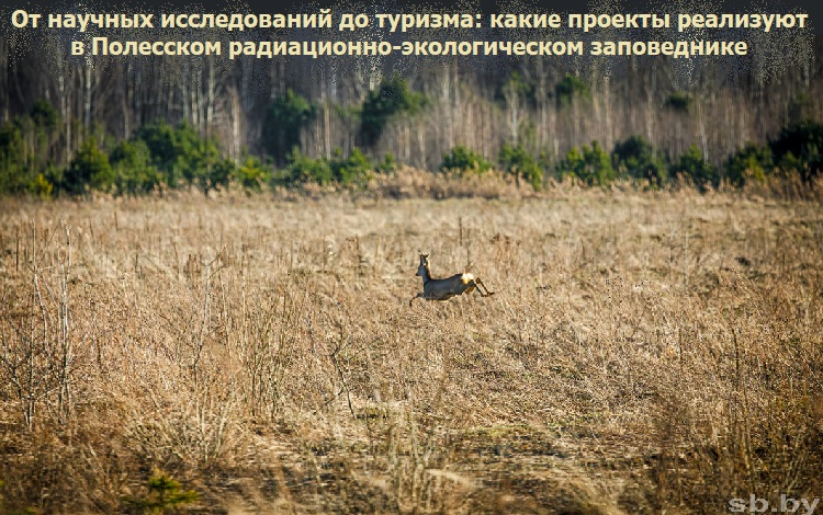 �� ������� ������������ �� �������: ����� ������� ��������� � ��������� �����������-������������� �����������