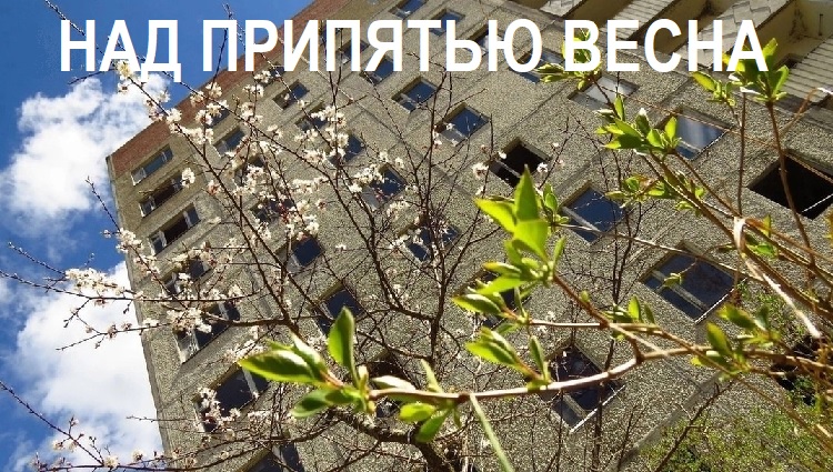 ��� �������� �����