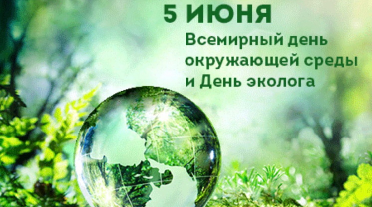 День эколога в России День эколога в России