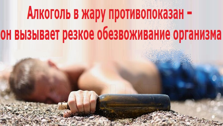 Алкоголь в жару противопоказан – он вызывает резкое обезвоживание организма Алкоголь в жару противопоказан – он вызывает резкое обезвоживание организма