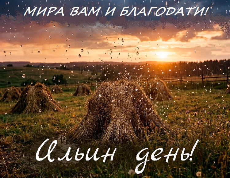 ����� ����