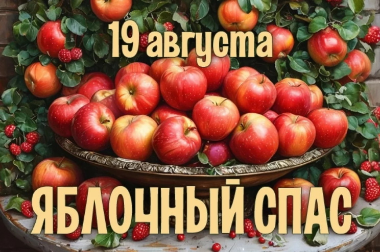 �������� ���� � 2026 ����