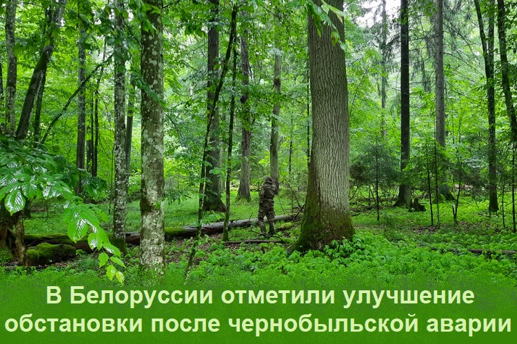 � ���������� �������� ��������� ���������� ����� ������������� ������
