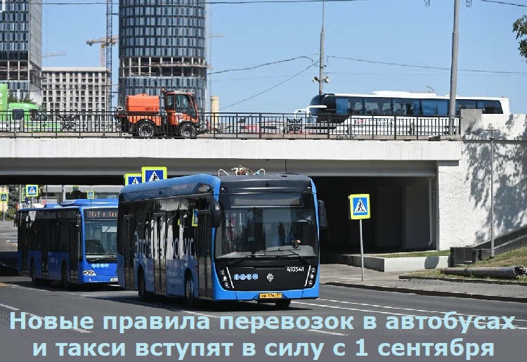 Новые правила перевозок в автобусах и такси вступят в силу с 1 сентября Новые правила перевозок в автобусах и такси вступят в силу с 1 сентября