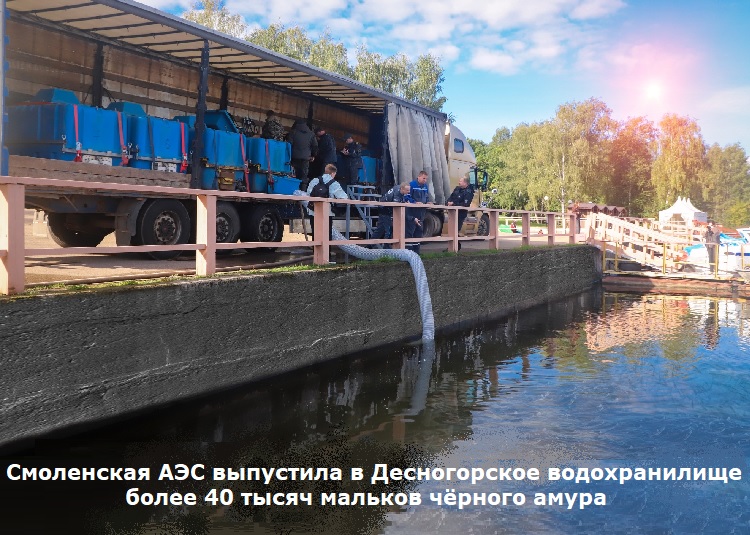 ���������� ��� ��������� � ������������ ������������� ����� 40 ����� ������� ������� �����