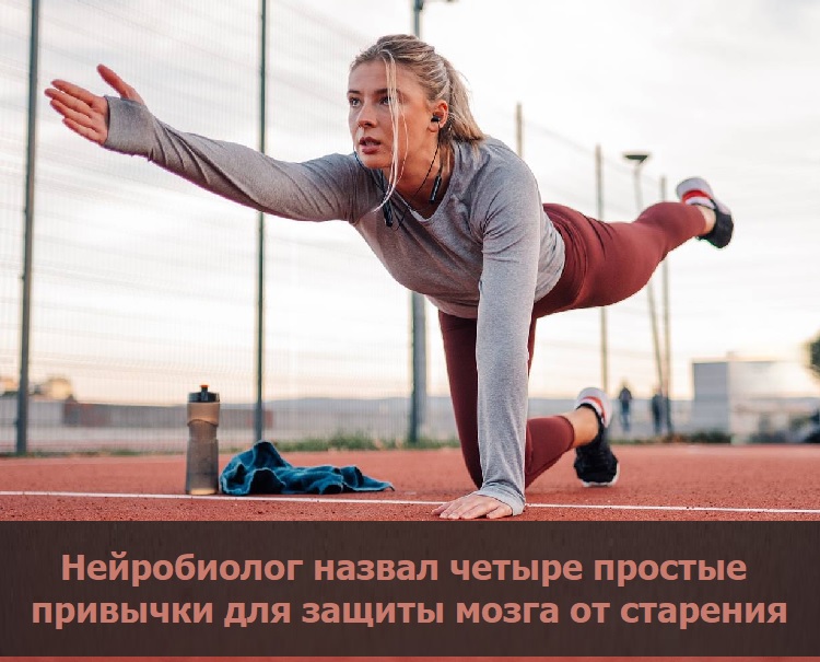 Нейробиолог назвал четыре простые привычки для защиты мозга от старения Нейробиолог назвал четыре простые привычки для защиты мозга от старения