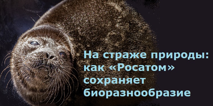 �� ������ �������: ��� �������� ��������� ���������������