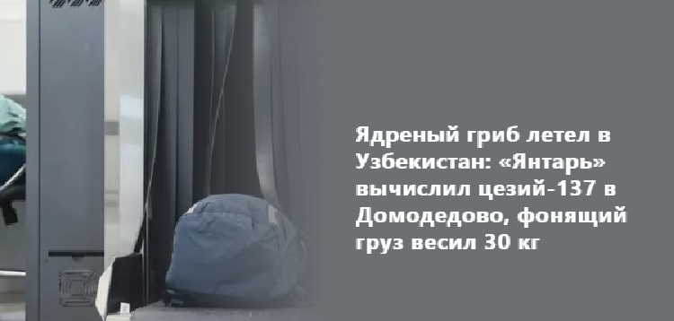 Ядреный гриб летел в Узбекистан: «Янтарь» вычислил цезий-137 в Домодедово, фонящий груз весил 30 кг Ядреный гриб летел в Узбекистан: «Янтарь» вычислил цезий-137 в Домодедово, фонящий груз весил 30 кг